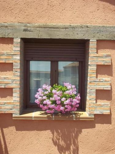Apartamentos Turisticos La Fuensanta Cella Phòng bức ảnh
